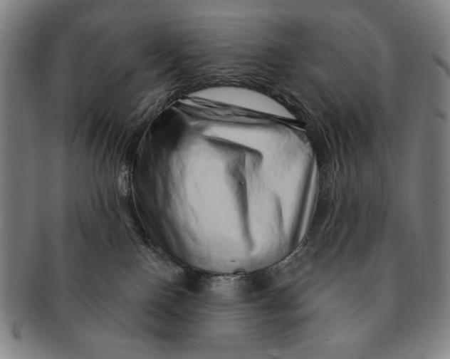 X0000091210090200708301438