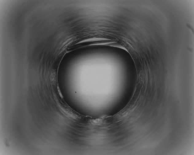 X0000091210092200708301438