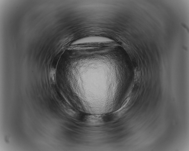 X0000091210094200708301438