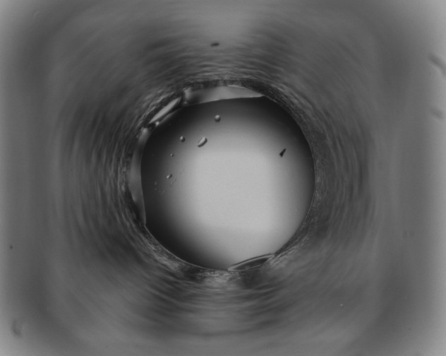 X0000091210096200708301438