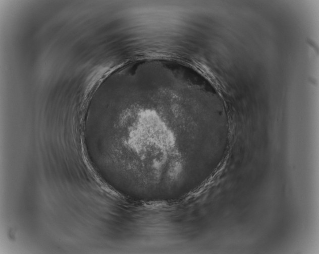 X0000091210097200708301438