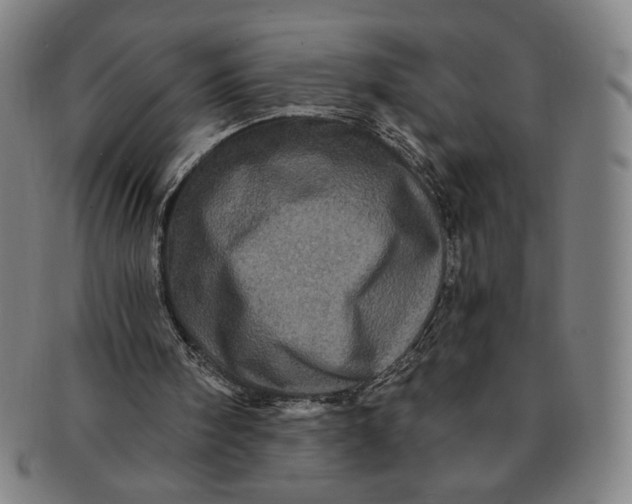 X0000091210098200708301438