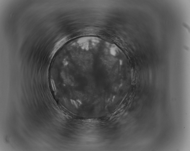 X0000091210099200708301438