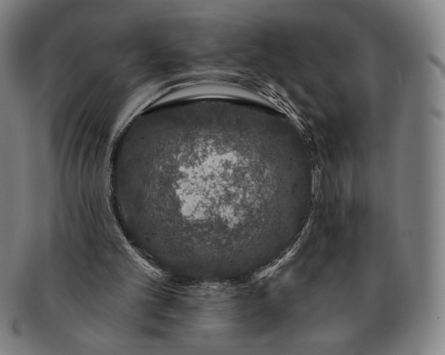 X0000091210101200708301438