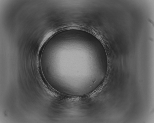 X0000091210102200708301438