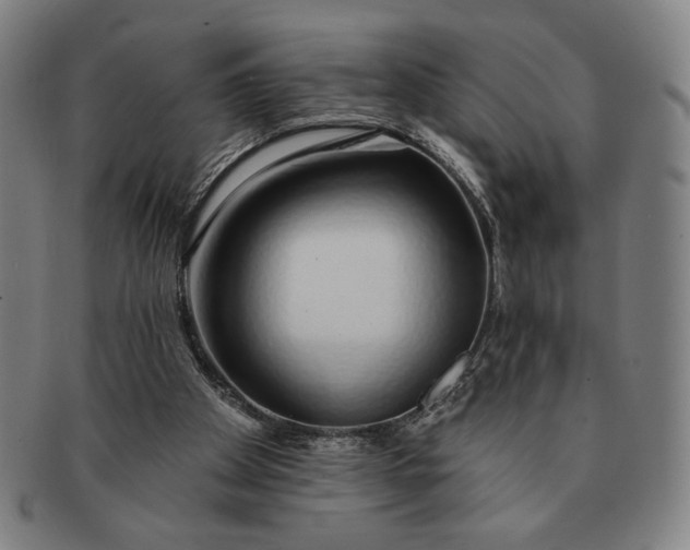 X0000091210105200708301438