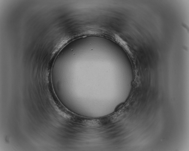 X0000091210106200708301438