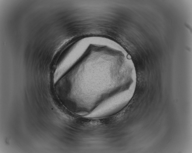 X0000091210112200708301437