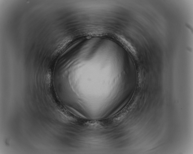 X0000091210113200708301437