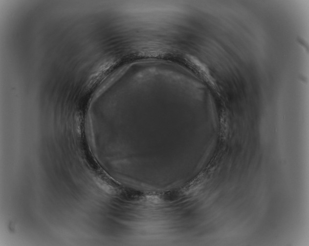 X0000091210114200708301437