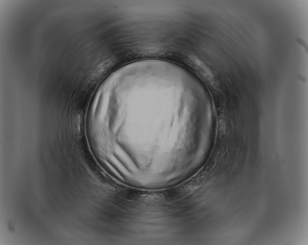 X0000091210115200708301437