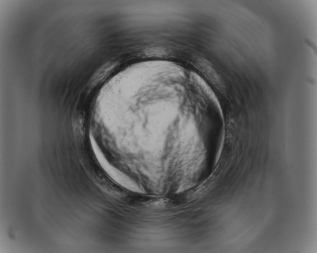 X0000091210116200708301437