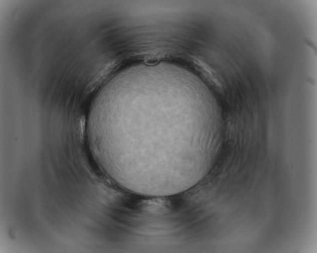 X0000091210118200708301437