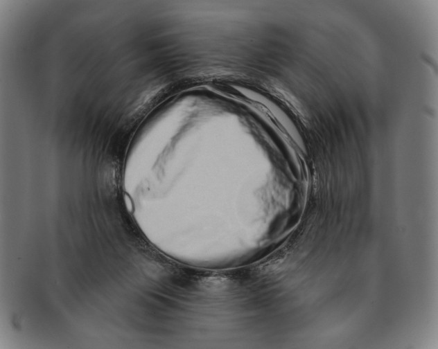 X0000091210119200708301437