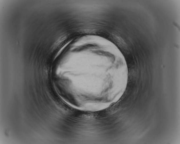 X0000091210120200708301437