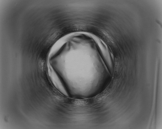 X0000091210123200708301437