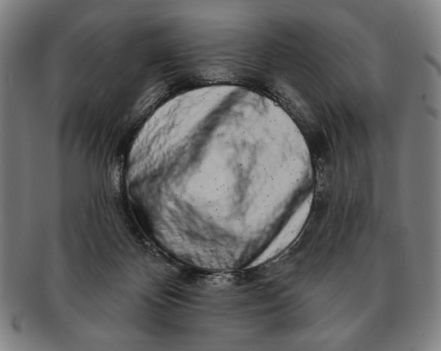 X0000091210124200708301437