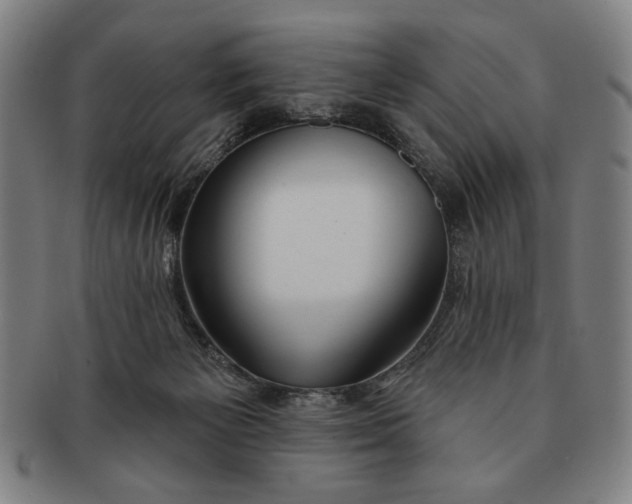 X0000091210125200708301437