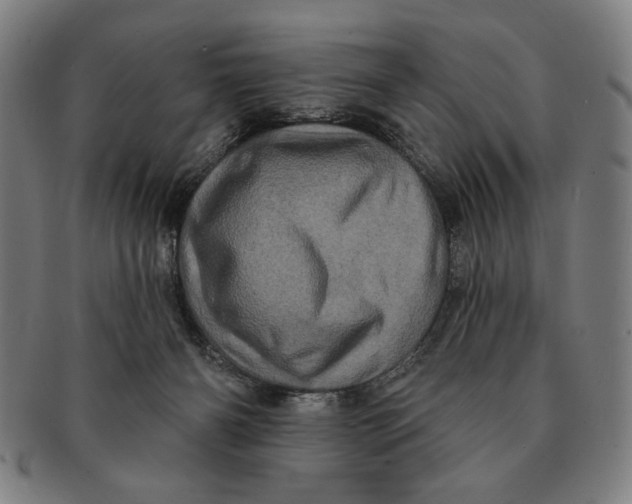 X0000091210126200708301437