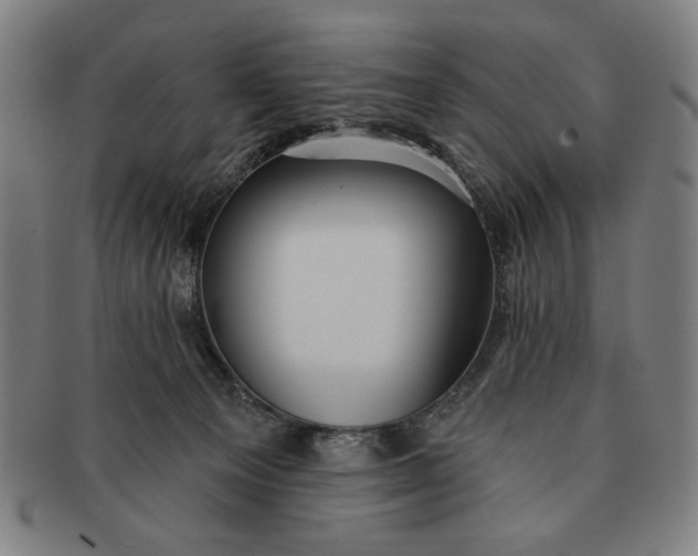 X0000091210129200708301437