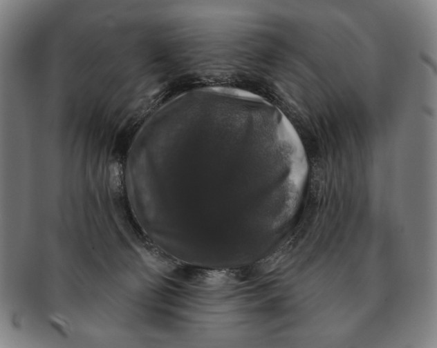 X0000091210130200708301437