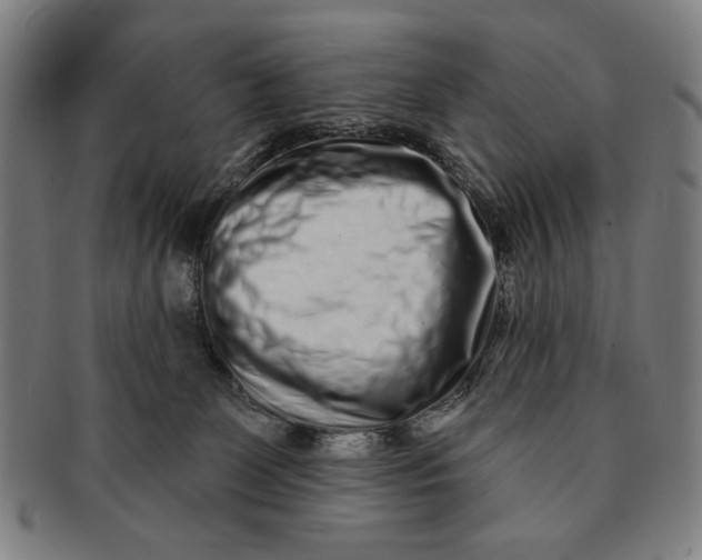 X0000091210131200708301437