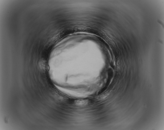 X0000091210135200708301437