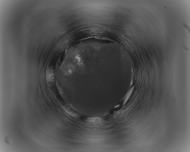 X0000091210137200708301437