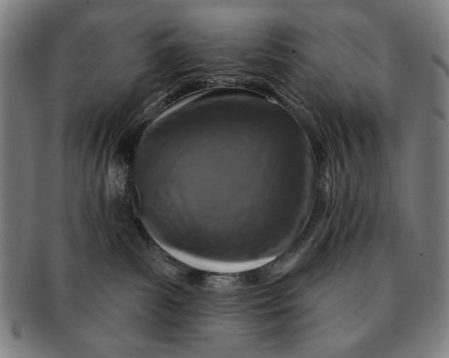 X0000091210139200708301437