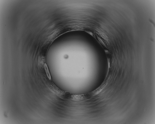 X0000091210141200708301437