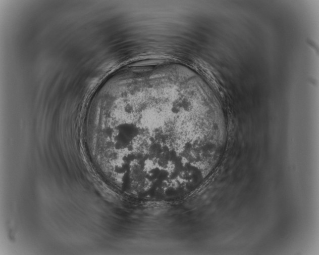 X0000091210145200708301436