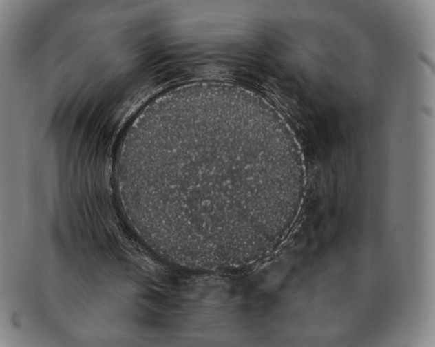 X0000091210146200708301436