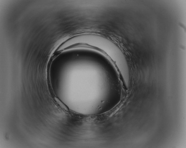 X0000091210148200708301436