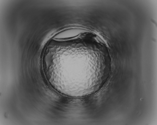 X0000091210151200708301436