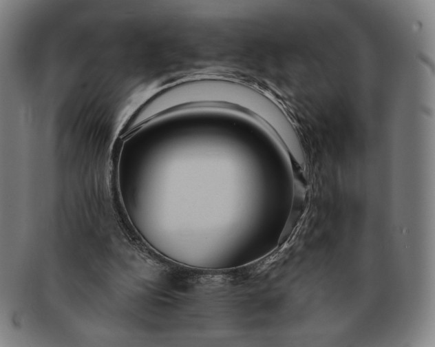 X0000091210152200708301436