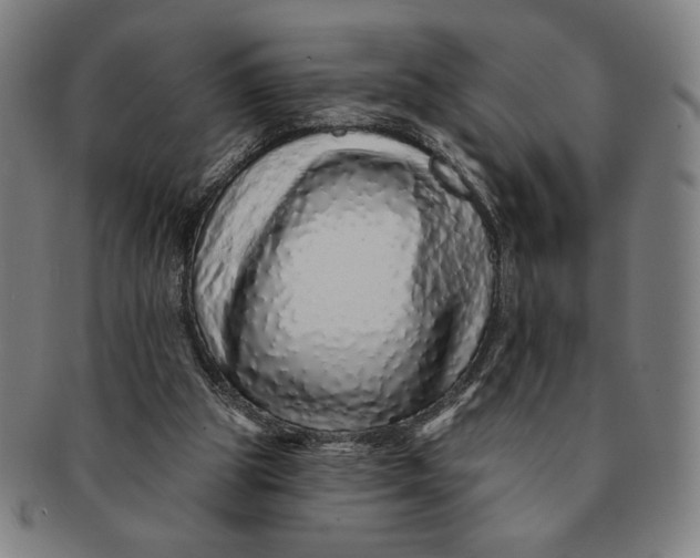 X0000091210153200708301436