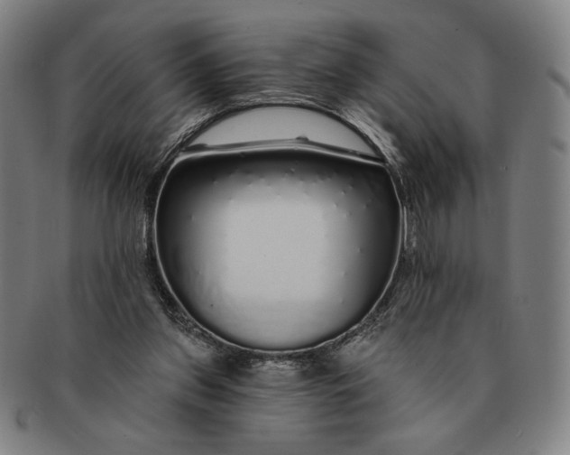 X0000091210157200708301436