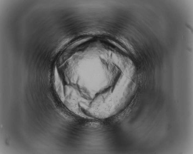 X0000091210159200708301436