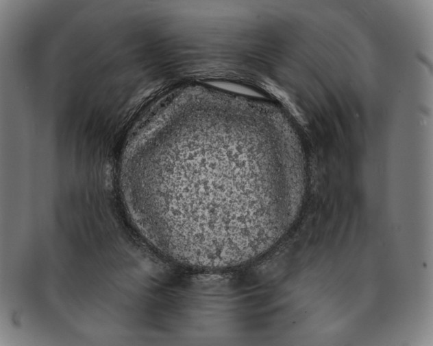 X0000091210161200708301436