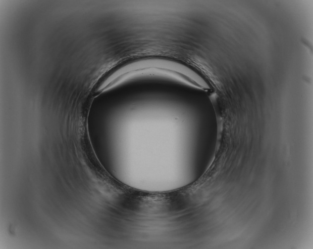 X0000091210164200708301436