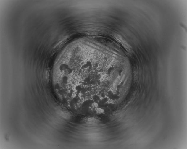 X0000091210165200708301436