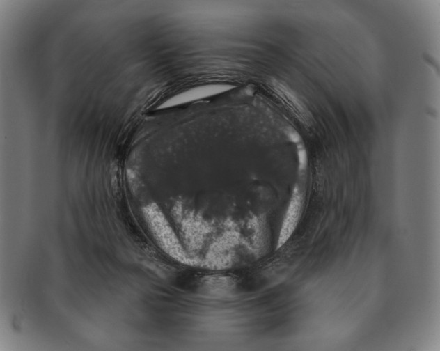 X0000091210169200708301437