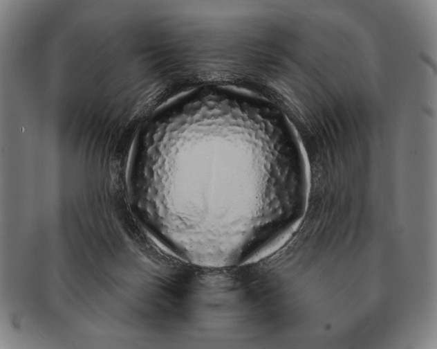 X0000091210171200708301437