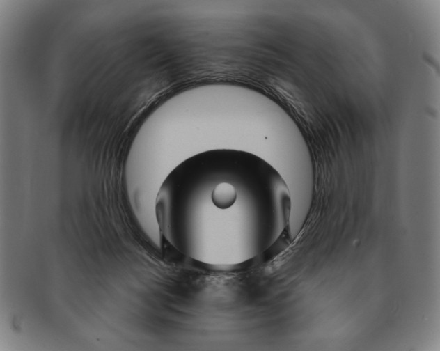 X0000091210172200708301437