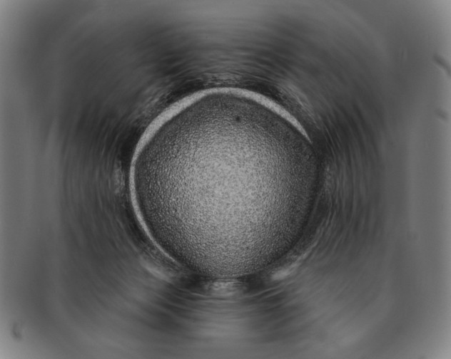 X0000091210173200708301437