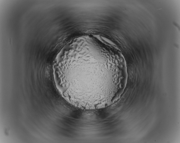 X0000091210175200708301437