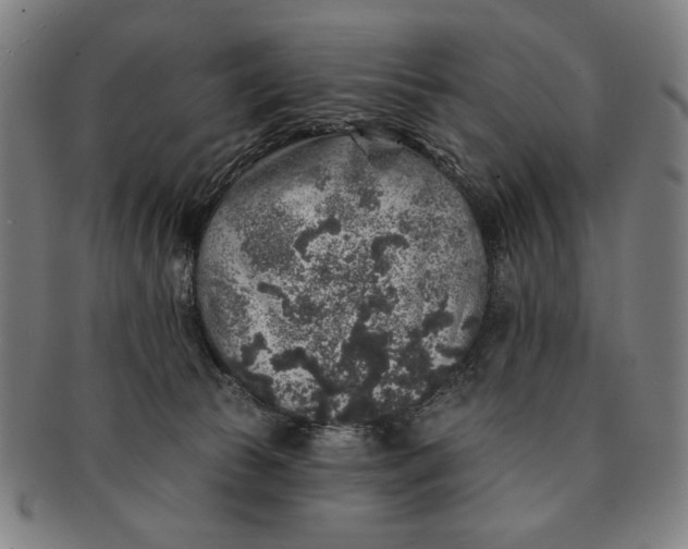 X0000091210177200708301437