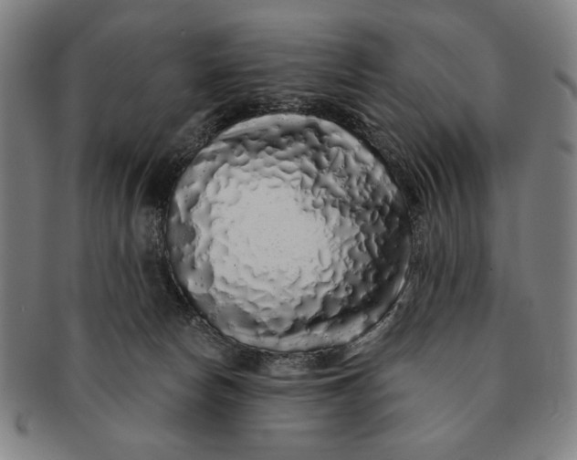 X0000091210178200708301437