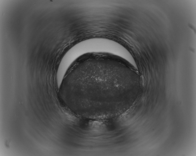 X0000091210180200708301437