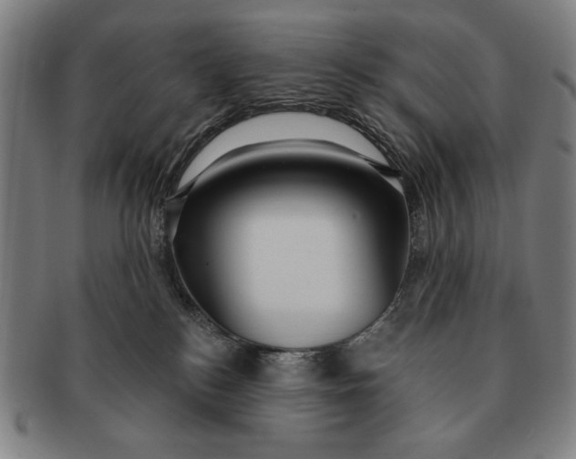 X0000091210184200708301437